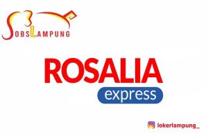Loker Lampung Terbaru Staff CSU di Rosalia Express 2026