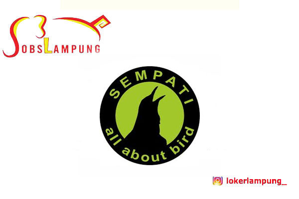 Loker Lampung Terbaru Host Live Streaming di Sempati Bird Shop