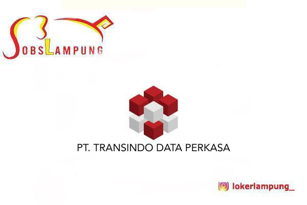 Loker Lampung Terbaru Web Developer di PT Transindo Data Perkasa 2026