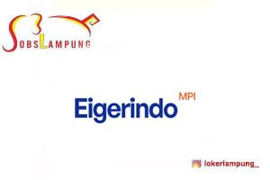 Loker Lampung Terbaru Retail Assistant (Daily Worker) di PT. Eigerindo MPI 2026
