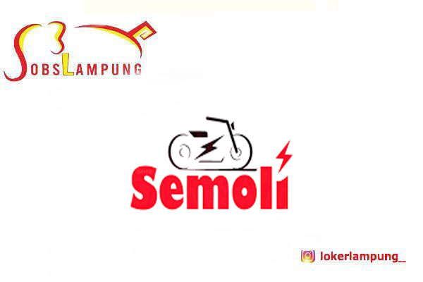 Loker Lampung Terbaru 6 Posisi di PT Informasi Teknologi Profesional (SEMOLI) 2026