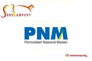 Loker Lampung Terbaru Account Officer Mikro di PT Permodalan Nasional Madani 2026